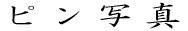 �h�[���ʐ^
